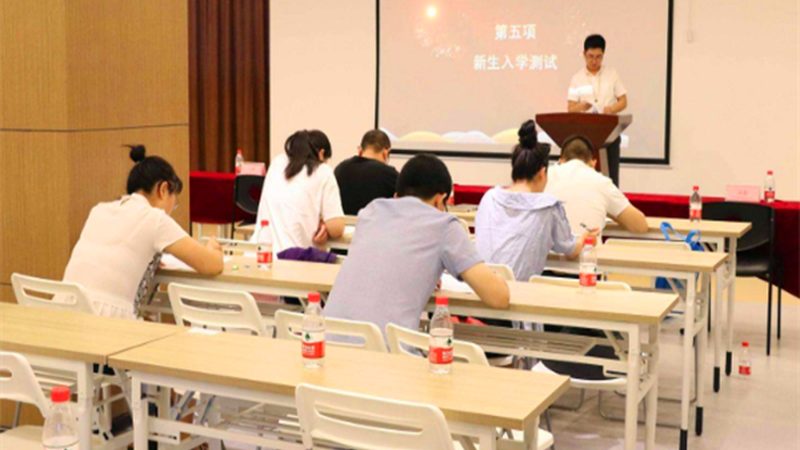 学历教育与技能培训：本质区别与选择指南**